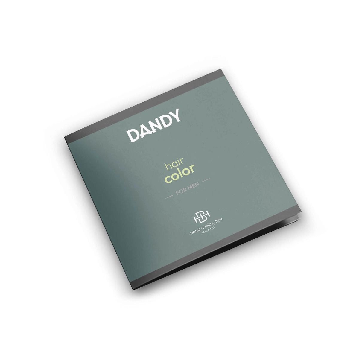 lisap Dandy Hair Color Chart